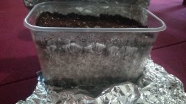 IMG_20170727_104448.jpg