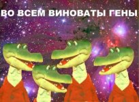 69794963.f.800.800.0.jpg