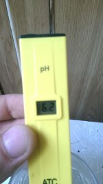 IMAG1261.jpg