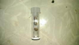 IMAG1263.jpg