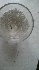 IMAG1266.jpg