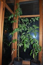 DSC_1096.JPG