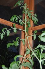 DSC_1095.JPG