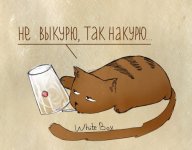 179885434.p.800.800.0.jpg
