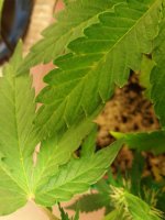 20170801_113459.jpg