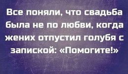 imageекуц.jpg