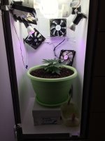 20170801_145239904_iOS.jpg