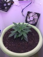 20170801_145318904_iOS.jpg