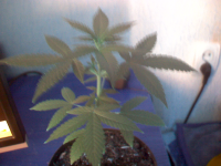vlcsnap-00022.png vlcsnap-00022.png