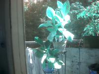 vlcsnap-00015.png vlcsnap-00015.png