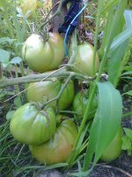 Photo0781.jpg