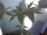 vlcsnap-00034.png vlcsnap-00034.png