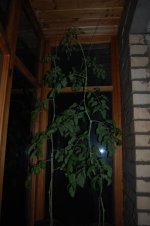 DSC_1111.JPG