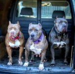 imageпп.jpg