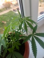 20170809_165129458_iOS.jpg