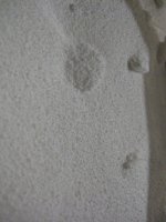 IMG_2436.JPG