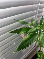 20170811_142938.jpg
