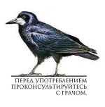 181361728.p.800.800.0.jpg