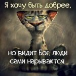 181348810.p.800.800.0.jpg