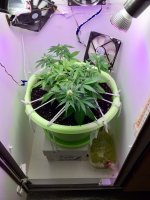 20170814_070130969_iOS.jpg
