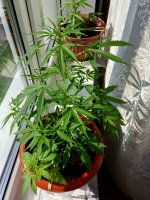 20170814_070414042_iOS.jpg