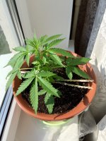 20170814_070358795_iOS.jpg
