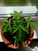 20170814_070505786_iOS.jpg