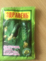 IMG_0531.JPG