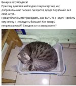 8963820.jpg