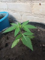 20170816_141249.jpg