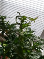20170816_154239.jpg