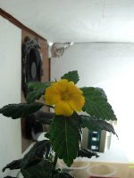 DSC01760.jpg