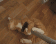 пык.gif