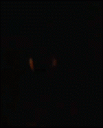 лаз.gif