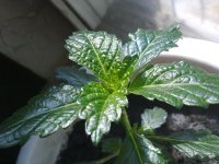 130620121434.jpg