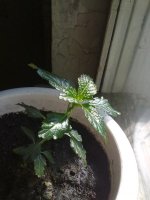 130620121435.jpg