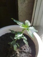 130620121436.jpg