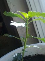 130620121437.jpg