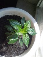 130620121440.jpg