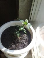 130620121441.jpg