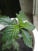 160620121442.jpg