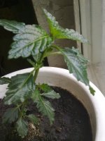 160620121443.jpg