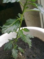 160620121444.jpg