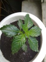 160620121445.jpg