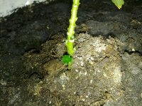 160620121446.jpg