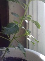 220620121483.jpg
