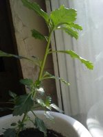 220620121486.jpg