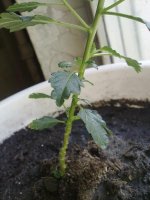 220620121487.jpg