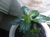 220620121489.jpg