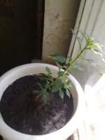 220620121490.jpg